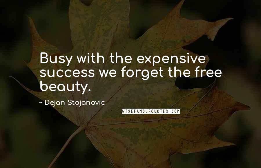 Dejan Stojanovic Quotes: Busy with the expensive success we forget the free beauty.