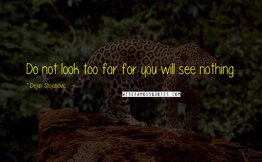 Dejan Stojanovic Quotes: Do not look too far for you will see nothing.