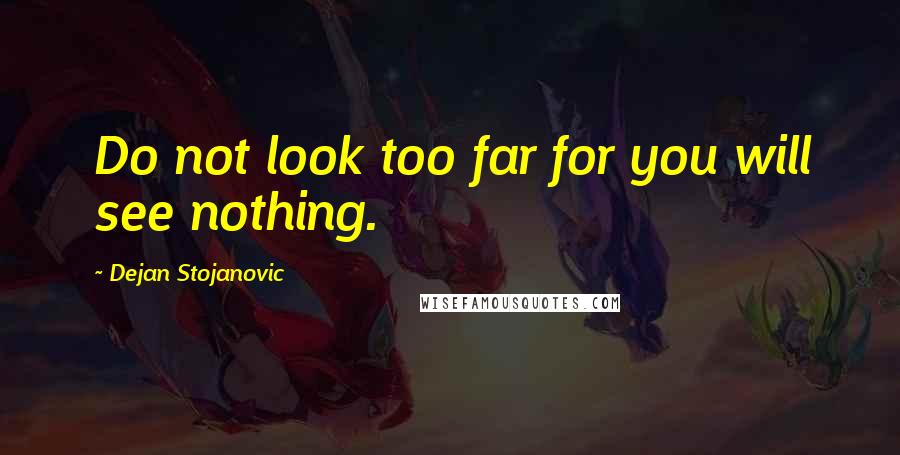 Dejan Stojanovic Quotes: Do not look too far for you will see nothing.