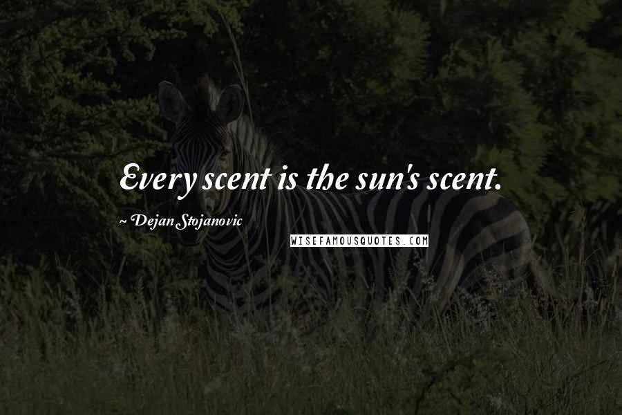 Dejan Stojanovic Quotes: Every scent is the sun's scent.