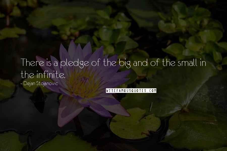 Dejan Stojanovic Quotes: There is a pledge of the big and of the small in the infinite.