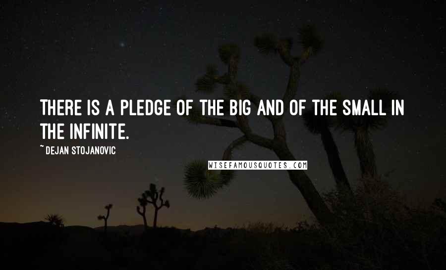 Dejan Stojanovic Quotes: There is a pledge of the big and of the small in the infinite.