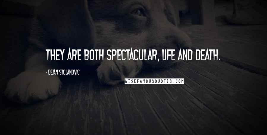 Dejan Stojanovic Quotes: They are both spectacular, Life and death.