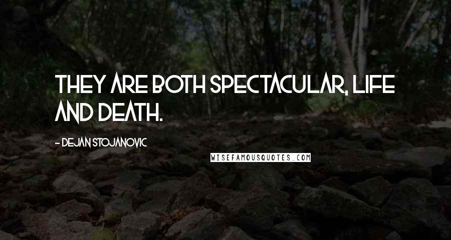 Dejan Stojanovic Quotes: They are both spectacular, Life and death.