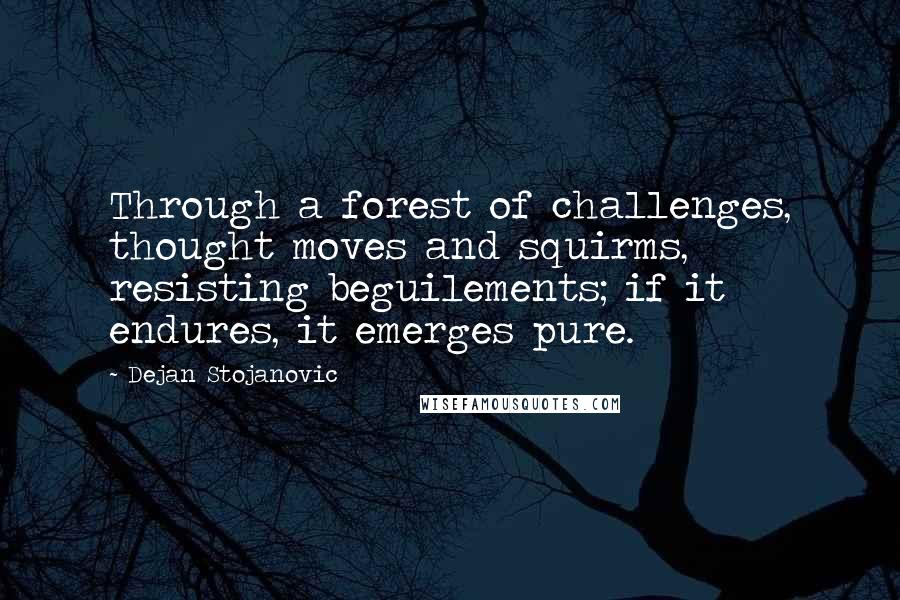 Dejan Stojanovic Quotes: Through a forest of challenges, thought moves and squirms, resisting beguilements; if it endures, it emerges pure.