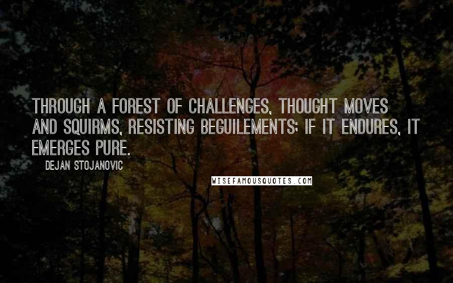 Dejan Stojanovic Quotes: Through a forest of challenges, thought moves and squirms, resisting beguilements; if it endures, it emerges pure.