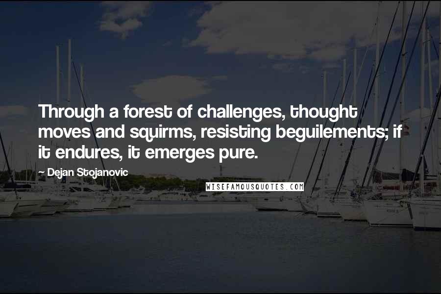 Dejan Stojanovic Quotes: Through a forest of challenges, thought moves and squirms, resisting beguilements; if it endures, it emerges pure.