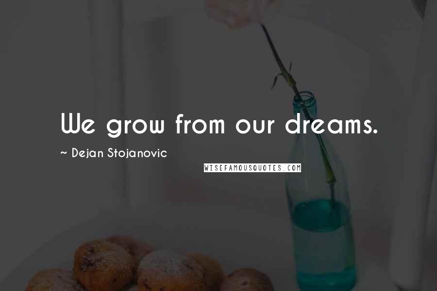 Dejan Stojanovic Quotes: We grow from our dreams.