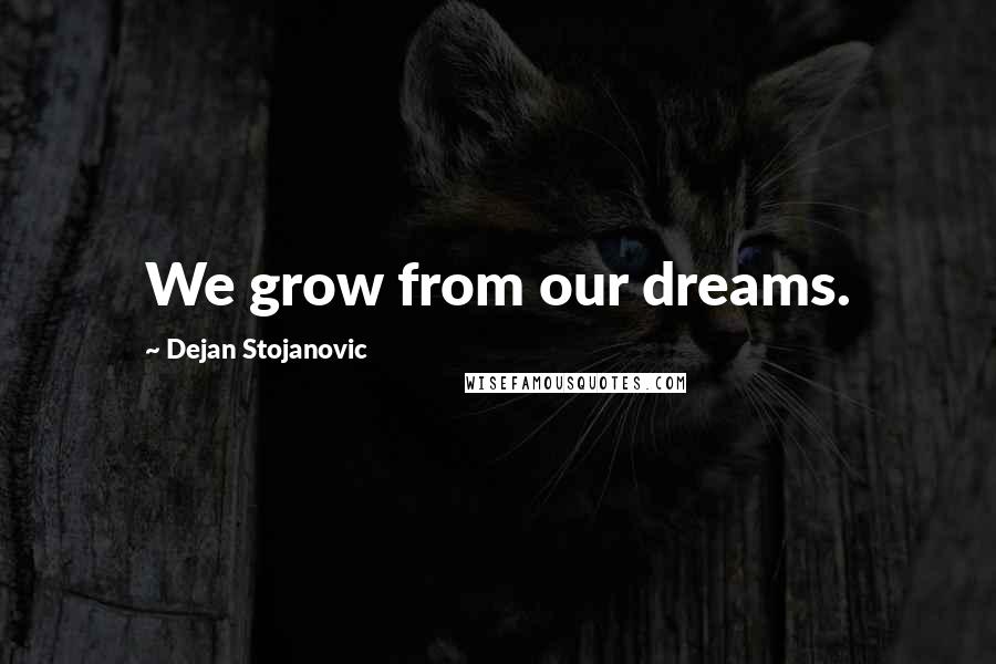 Dejan Stojanovic Quotes: We grow from our dreams.