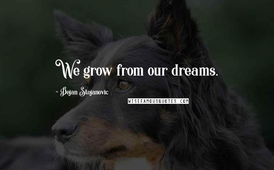 Dejan Stojanovic Quotes: We grow from our dreams.