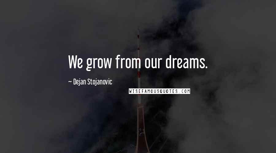 Dejan Stojanovic Quotes: We grow from our dreams.