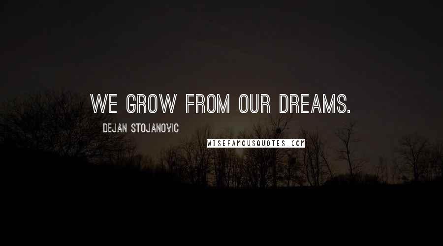 Dejan Stojanovic Quotes: We grow from our dreams.