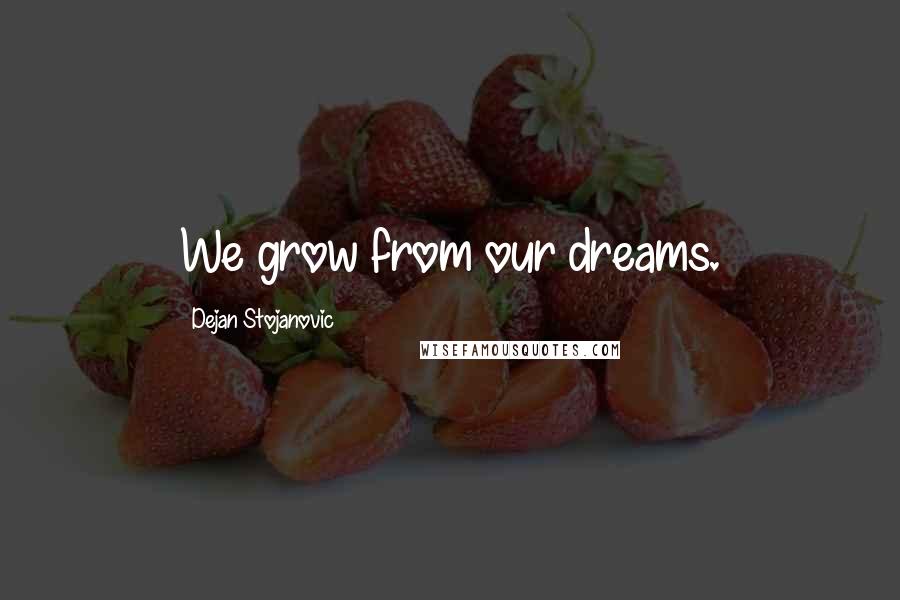 Dejan Stojanovic Quotes: We grow from our dreams.