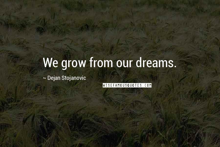 Dejan Stojanovic Quotes: We grow from our dreams.