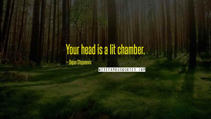 Dejan Stojanovic Quotes: Your head is a lit chamber.