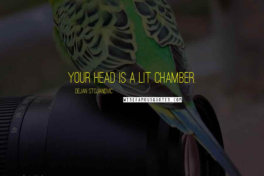 Dejan Stojanovic Quotes: Your head is a lit chamber.