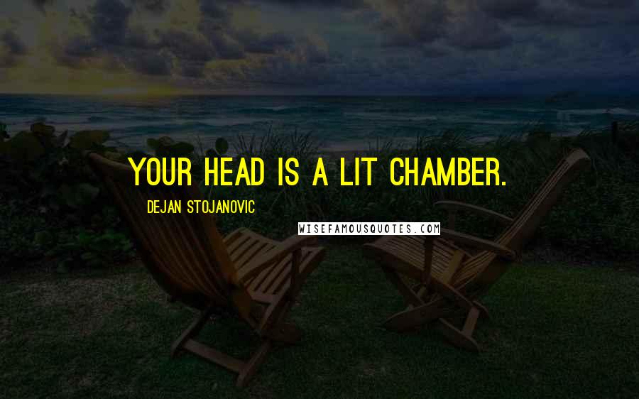Dejan Stojanovic Quotes: Your head is a lit chamber.