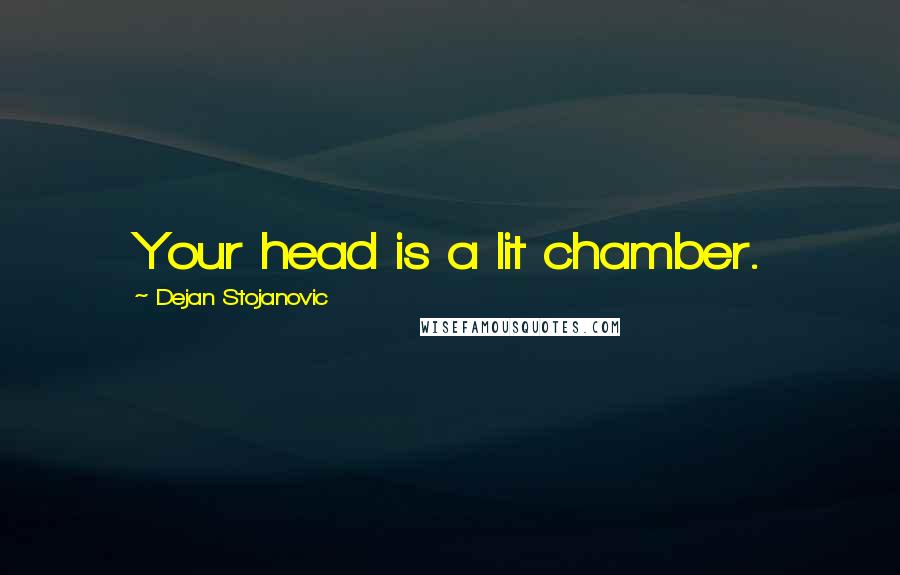 Dejan Stojanovic Quotes: Your head is a lit chamber.