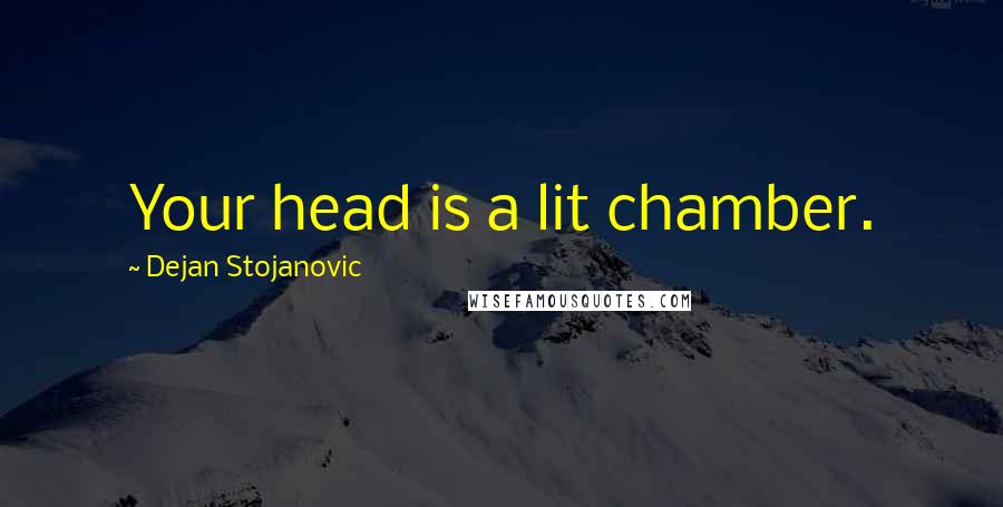 Dejan Stojanovic Quotes: Your head is a lit chamber.