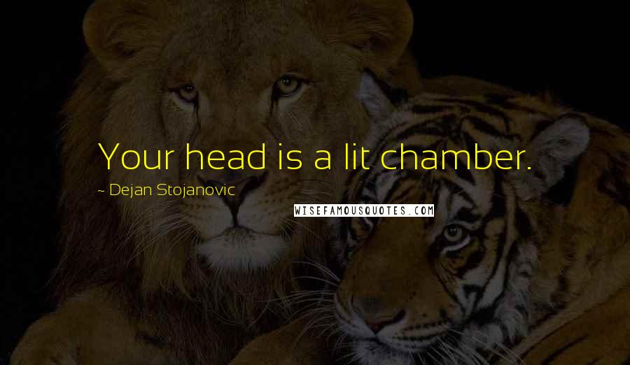 Dejan Stojanovic Quotes: Your head is a lit chamber.