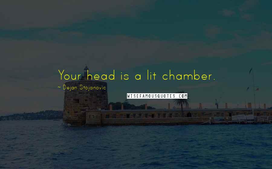 Dejan Stojanovic Quotes: Your head is a lit chamber.