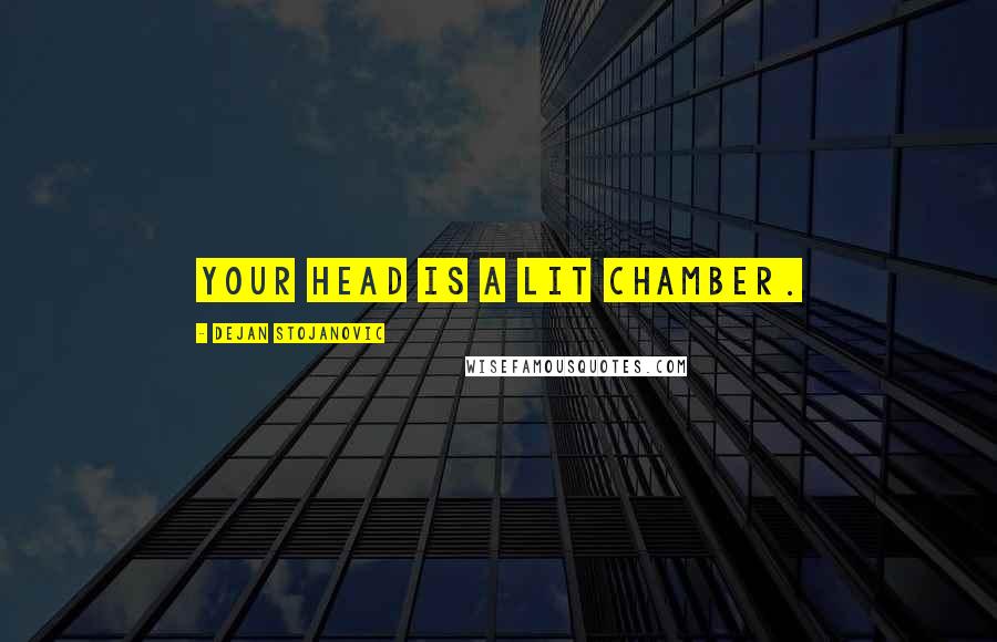 Dejan Stojanovic Quotes: Your head is a lit chamber.