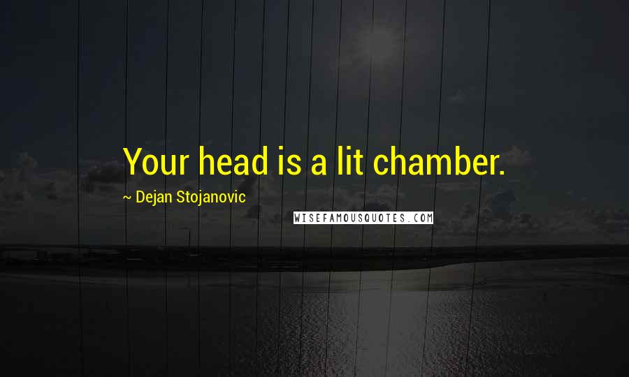 Dejan Stojanovic Quotes: Your head is a lit chamber.