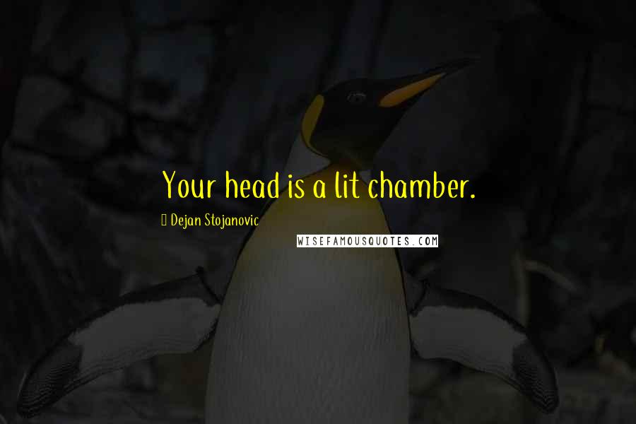Dejan Stojanovic Quotes: Your head is a lit chamber.