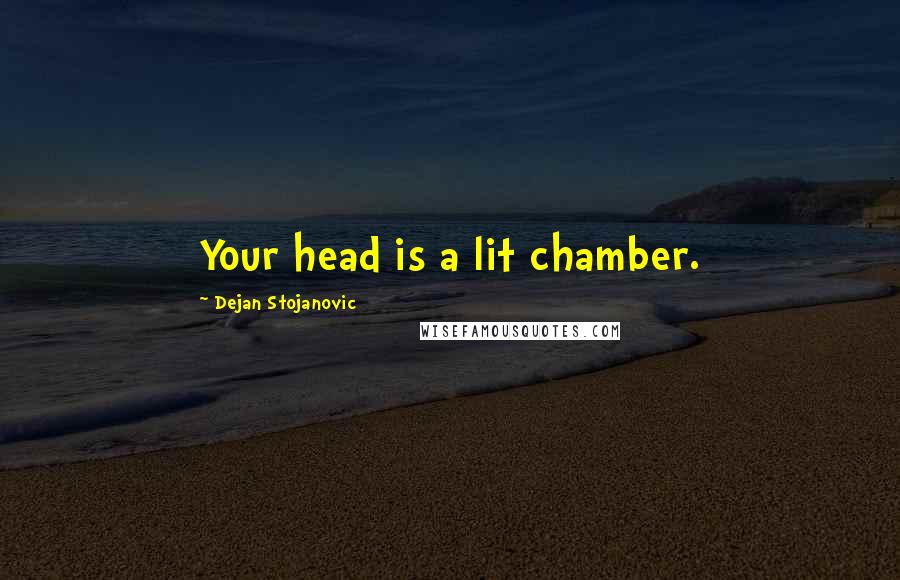 Dejan Stojanovic Quotes: Your head is a lit chamber.