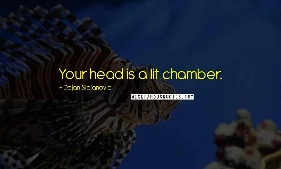 Dejan Stojanovic Quotes: Your head is a lit chamber.
