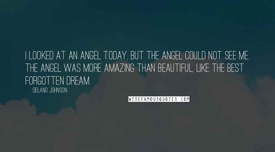 Delano Johnson Quotes: I looked at an angel today, but the angel could not see me. The angel was more amazing than beautiful, like the best forgotten dream.