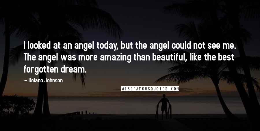 Delano Johnson Quotes: I looked at an angel today, but the angel could not see me. The angel was more amazing than beautiful, like the best forgotten dream.