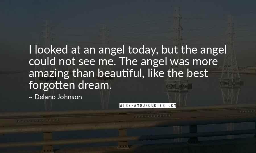 Delano Johnson Quotes: I looked at an angel today, but the angel could not see me. The angel was more amazing than beautiful, like the best forgotten dream.