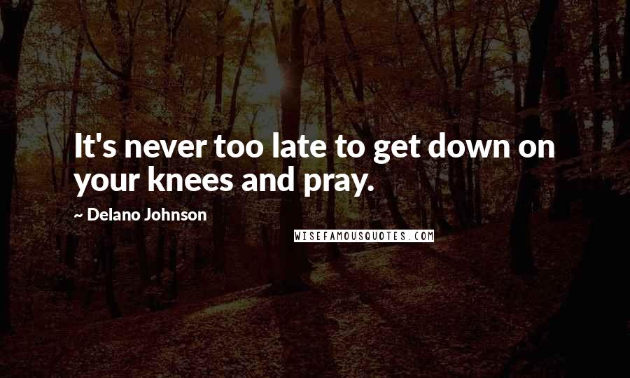 Delano Johnson Quotes: It's never too late to get down on your knees and pray.