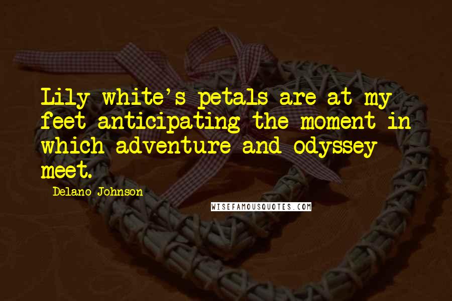 Delano Johnson Quotes: Lily white's petals are at my feet anticipating the moment in which adventure and odyssey meet.