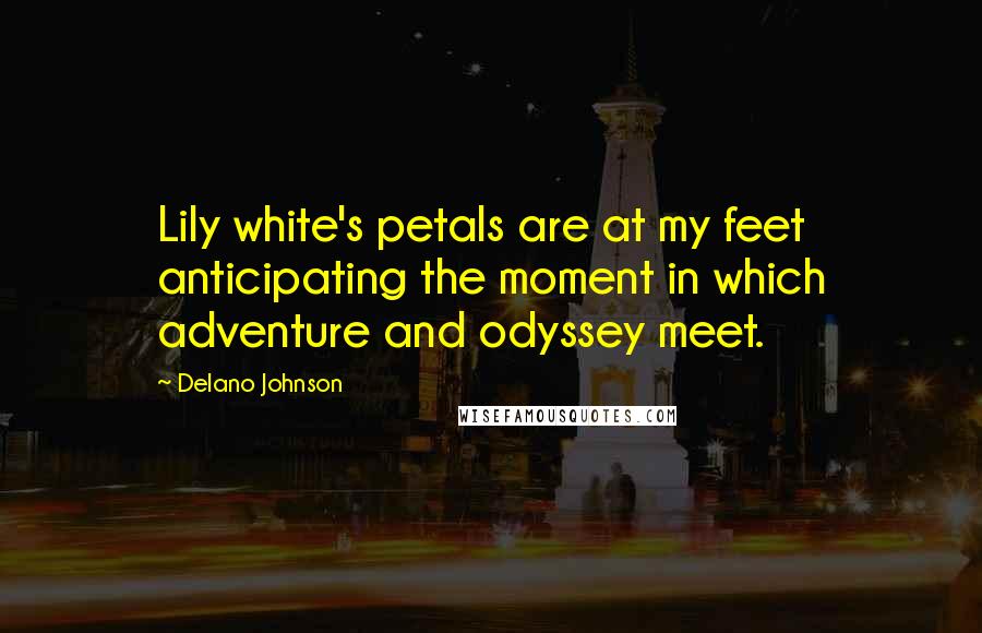 Delano Johnson Quotes: Lily white's petals are at my feet anticipating the moment in which adventure and odyssey meet.