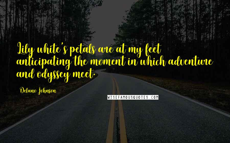 Delano Johnson Quotes: Lily white's petals are at my feet anticipating the moment in which adventure and odyssey meet.