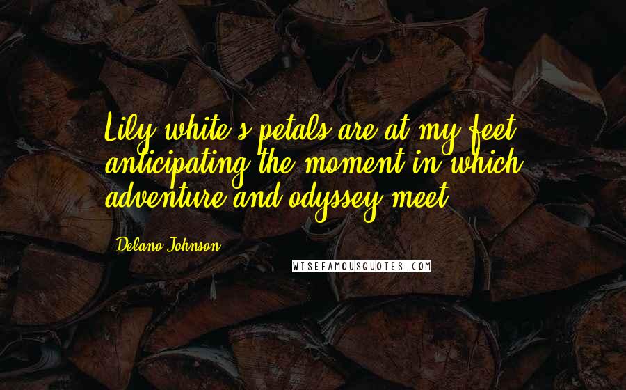 Delano Johnson Quotes: Lily white's petals are at my feet anticipating the moment in which adventure and odyssey meet.