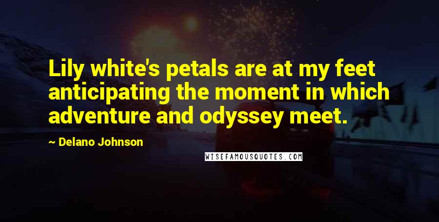 Delano Johnson Quotes: Lily white's petals are at my feet anticipating the moment in which adventure and odyssey meet.