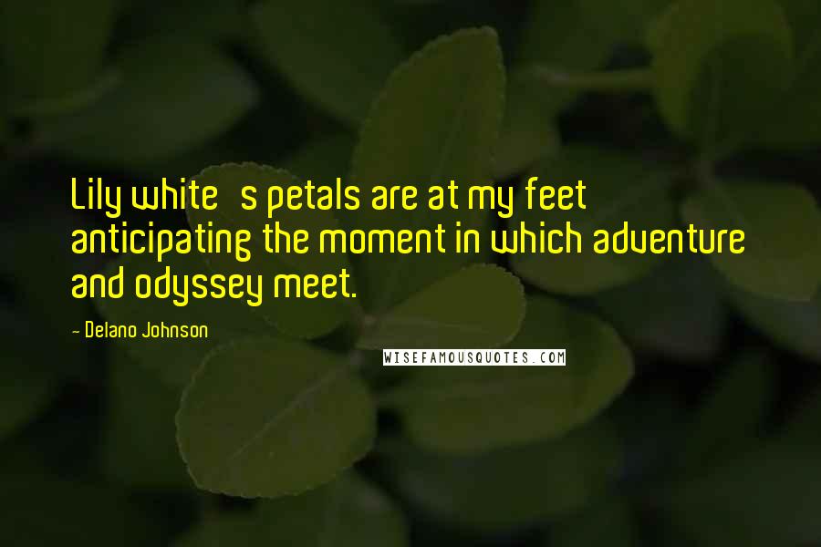 Delano Johnson Quotes: Lily white's petals are at my feet anticipating the moment in which adventure and odyssey meet.