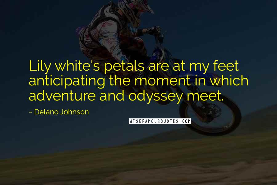 Delano Johnson Quotes: Lily white's petals are at my feet anticipating the moment in which adventure and odyssey meet.