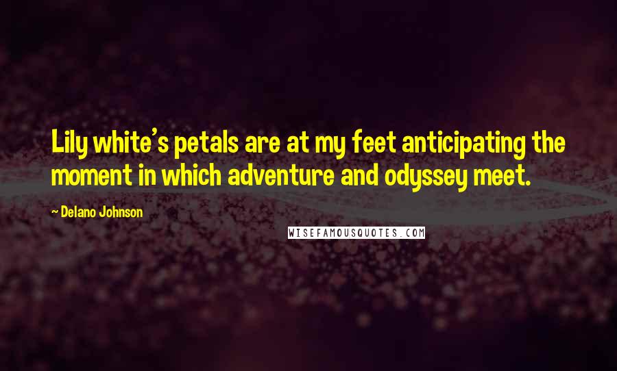 Delano Johnson Quotes: Lily white's petals are at my feet anticipating the moment in which adventure and odyssey meet.