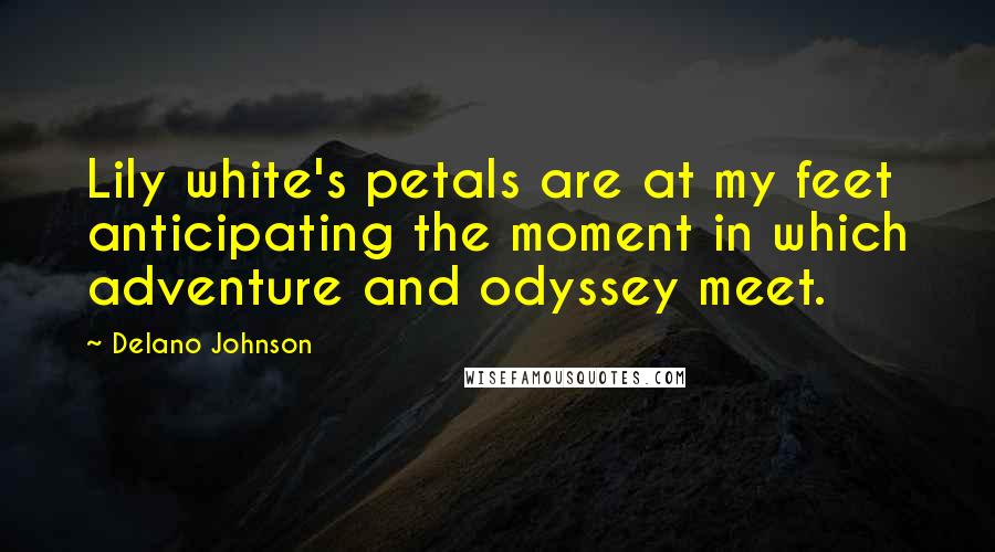 Delano Johnson Quotes: Lily white's petals are at my feet anticipating the moment in which adventure and odyssey meet.