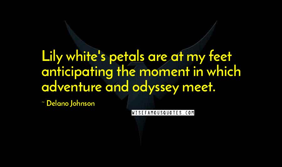 Delano Johnson Quotes: Lily white's petals are at my feet anticipating the moment in which adventure and odyssey meet.