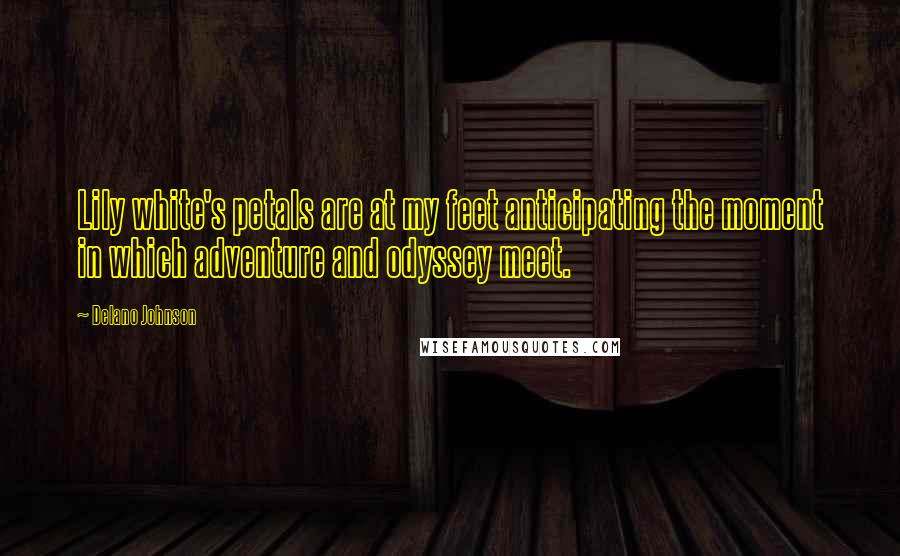 Delano Johnson Quotes: Lily white's petals are at my feet anticipating the moment in which adventure and odyssey meet.