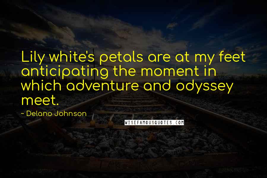 Delano Johnson Quotes: Lily white's petals are at my feet anticipating the moment in which adventure and odyssey meet.