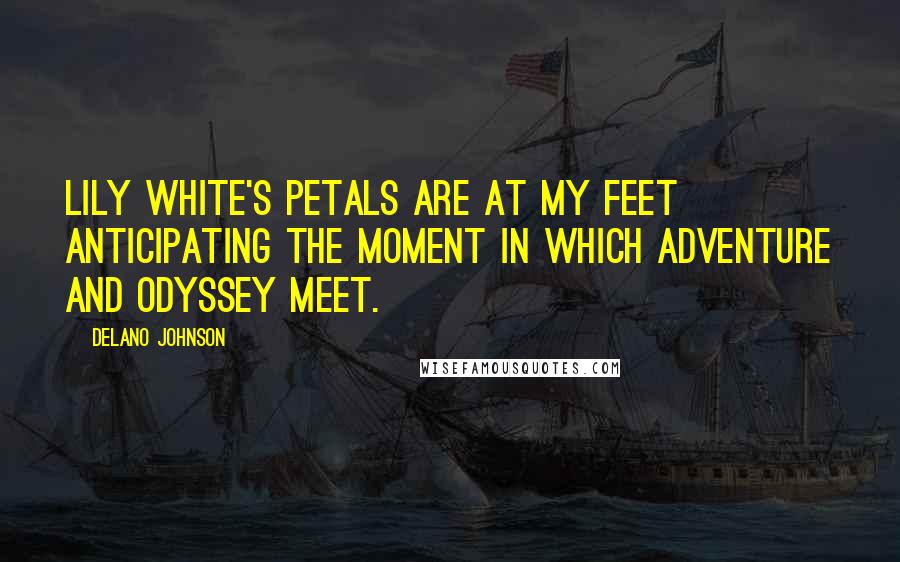 Delano Johnson Quotes: Lily white's petals are at my feet anticipating the moment in which adventure and odyssey meet.