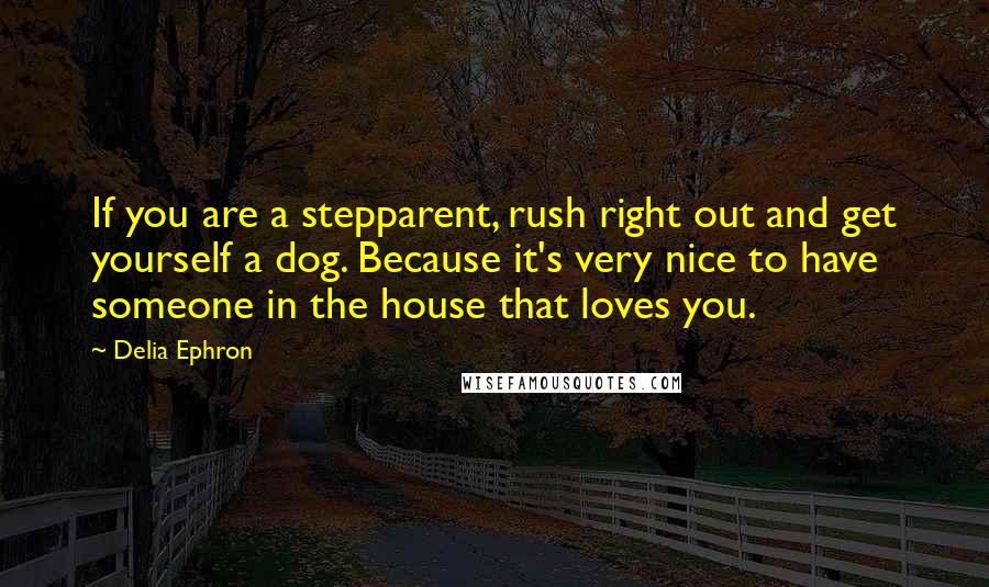 Delia Ephron Quotes: If you are a stepparent, rush right out and get yourself a dog. Because it's very nice to have someone in the house that loves you.