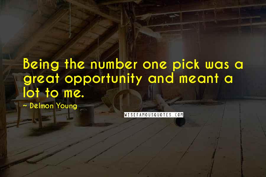 Delmon Young Quotes: Being the number one pick was a great opportunity and meant a lot to me.