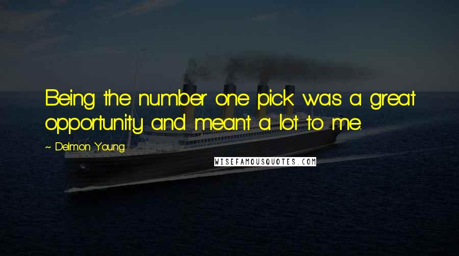 Delmon Young Quotes: Being the number one pick was a great opportunity and meant a lot to me.